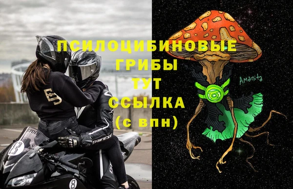 шишки Балабаново
